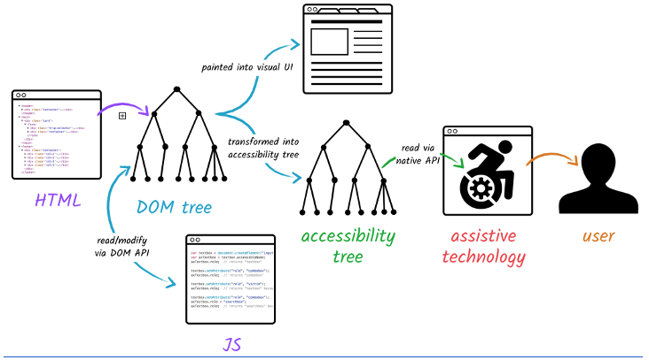 The relationship between the DOM tree, HTML, and JavaScript. This is posted to the browser and accessibility tree for assistive technology and user.